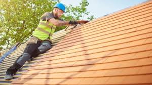 Best Roof Maintenance and Cleaning  in Darnestown, MD