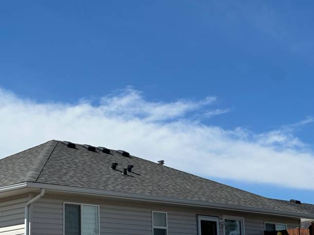 Best Metal Roofing Installation  in Darnestown, MD